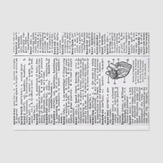 Papier Mousseline Page Dictionnaire (Recto)