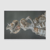 Papier Mousseline Page du livre Couture d'avant-garde Dress Decoupag (Recto)