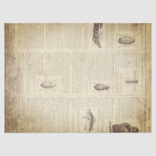 Papier Mousseline Page française grunge de dictionnaire (Recto)