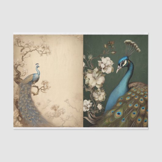 Papier Mousseline Page Tissue de paock (Recto)