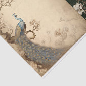 Papier Mousseline Page Tissue de paock (Détail)