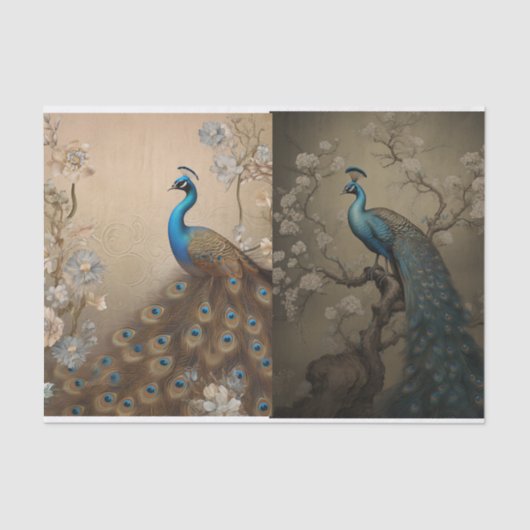 Papier Mousseline Page Tissue de paock (Recto)