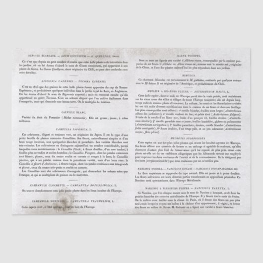 Papier Mousseline Pages de livre Vintages anciennes Découpage (Recto)