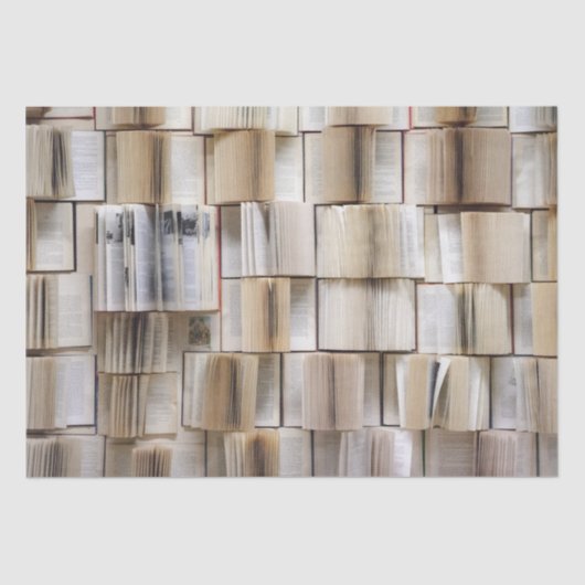 Papier Mousseline Pages de livres vintages ouverts (Recto)