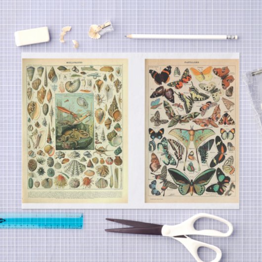 Papier Mousseline Pages Millet (Artisanat)