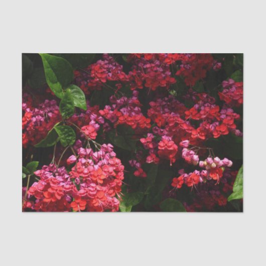 Papier Mousseline Pagoda Flowers Colorful (Recto)