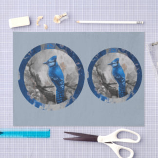 Papier Mousseline Painted bluejay DBL