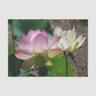 Papier Mousseline Pair de Lotus