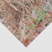 Papier Mousseline Paire de Canards Majards (Détail)