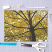 Papier Mousseline Paire d'érables jaunes Nature d'automne (Artisanat)