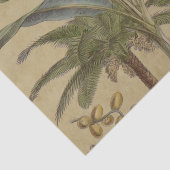 Papier Mousseline Palm Antique Fruit Tropical Art Botanique (Détail)