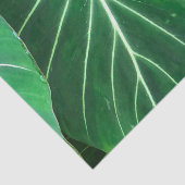 Papier Mousseline Palm Leaf, feuillage tropical, forêt tropicale (Détail)