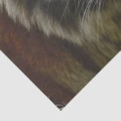 Papier Mousseline Palme tropicale du tigre (Détail)