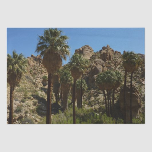 Papier Mousseline Palms perdus Oasis I au parc national de Joshua Tr (Recto)