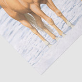 Papier Mousseline Palomino Quarter Horses (Détail)