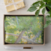 Papier Mousseline Panda géant de Chubby dans un papier de tissus d'a (Cadeau)