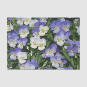 Papier Mousseline Pansies violettes Jardin Floral