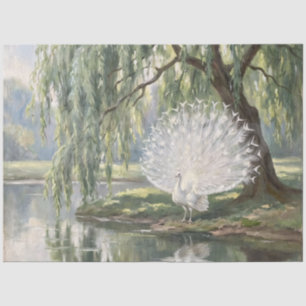 Papier Mousseline Paon blanc au découpage d'étang