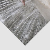 Papier Mousseline Paon impérial (Détail)