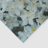 Papier Mousseline Paperwhite Narcissus Fleurs blanches délicates (Détail)