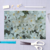 Papier Mousseline Paperwhite Narcissus Fleurs blanches délicates (Artisanat)