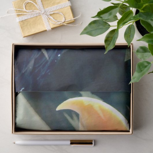 Papier Mousseline Papier (Cadeau)