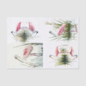 Papier Mousseline Papier à cuillères Collage 2 Papier de découpage (Recto)