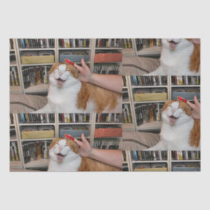 Papier Mousseline Papier à enveloppement Podgy Scarlett