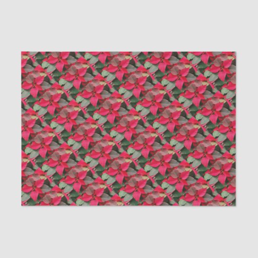 Papier Mousseline Papier à enveloppement Poinsettia rouge (Recto)