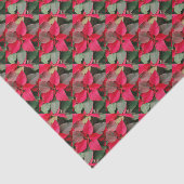 Papier Mousseline Papier à enveloppement Poinsettia rouge (Détail)