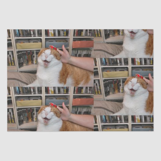 Papier Mousseline Papier à enveloppement pointu (Recto)