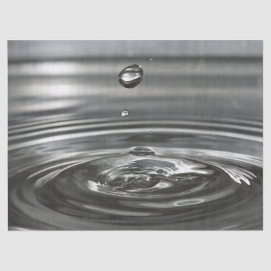 Papier Mousseline papier à mouche (Recto)