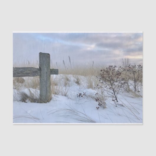 Papier Mousseline Papier à papier à papier pour enveloppement cadeau (Recto)