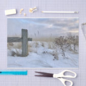 Papier Mousseline Papier à papier à papier pour enveloppement cadeau (Artisanat)