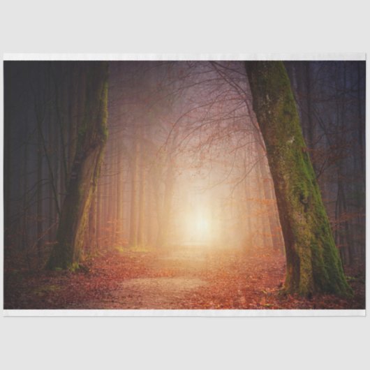 Papier Mousseline Papier à papier de découpage 17 (Recto)