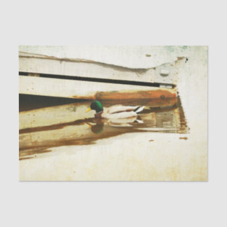 Papier Mousseline Papier à papier pour canard