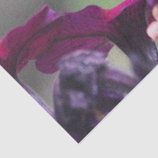 Papier Mousseline Papier à papier pour colibri (Détail)