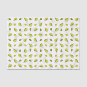 Papier Mousseline Papier à pression