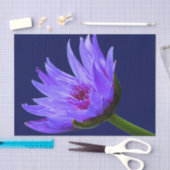 Papier Mousseline Papier cadeau papier bleu pourpre à l'eau Lily (Artisanat)