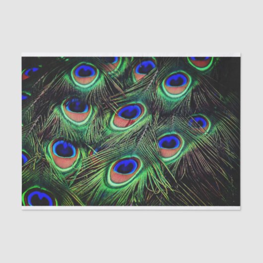 Papier Mousseline Papier cadeau Peacock Feather Tissu (Recto)