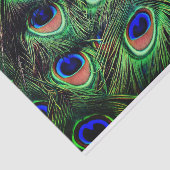 Papier Mousseline Papier cadeau Peacock Feather Tissu (Détail)
