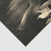 Papier Mousseline Papier cadeau Sirène et Seagull (Détail)