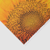 Papier Mousseline Papier cadeau tournesol et Pois (Détail)