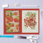 Papier Mousseline Papier de découpage 10"x15" - Art botanique 53 (Artisanat)