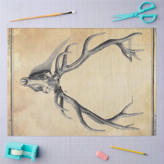 Papier Mousseline Papier de découpage Antler (Artisanat)