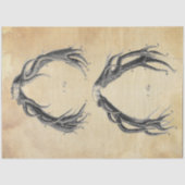 Papier Mousseline Papier de découpage Antler (Recto)