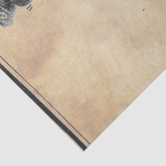 Papier Mousseline Papier de découpage Antler (Détail)