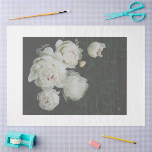 Papier Mousseline Papier de découpage blanc (Artisanat)