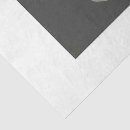 Papier Mousseline Papier de découpage blanc (Détail)