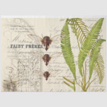 Papier de découpage de l'apothécaire de Ferry Moth